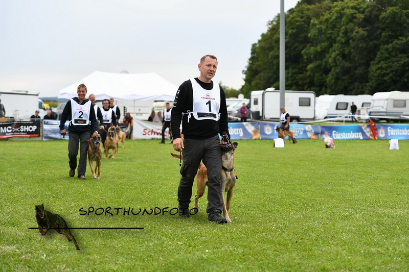 Impressionen 656.jpg